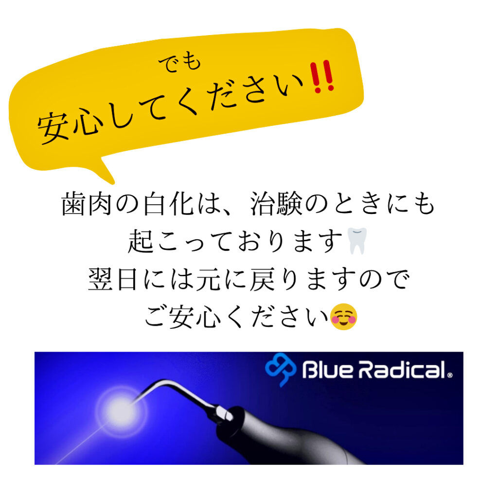 歯周病
歯の国
歯医者